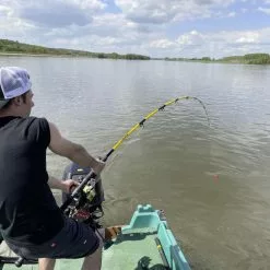 Black Cat Freestyle Spin 2,70m -Spinhengels Winkel 05d088a8bdc7abe6