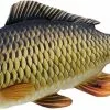 Gaby The Common Carp 64cm 2 Gaby The Common Carp 64cm -Spinhengels Winkel 6c02234a04a3cde7