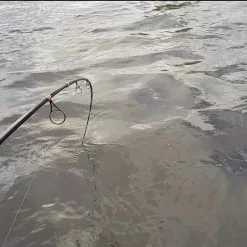 Patriot Pike Specialist Spinhengel 2.44m (15-75g)