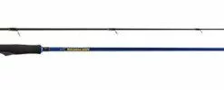 Molix Saltwater Squid Spinning Rod 2,44 Mtr
