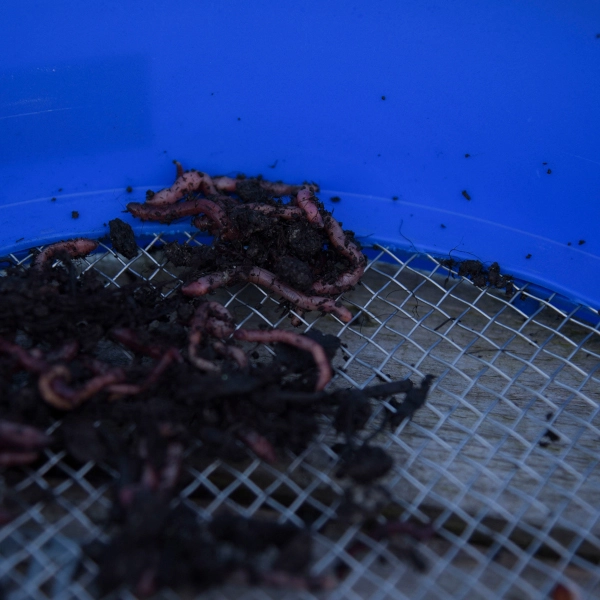 Cresta Supa Riddle Square Mesh 3 Cresta Supa Riddle Square Mesh